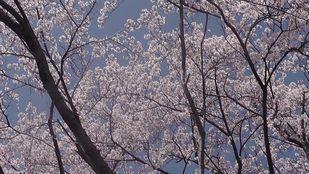 Nikkoen Hotel Nishiwaki Eksteriør billede